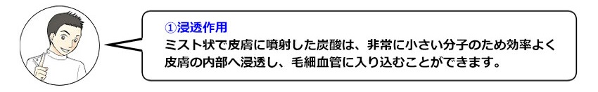 ①浸透作用：ミスト状で皮膚に噴射した炭酸は、非常に小さい分子のため効率よく皮膚の内部へ浸透し、毛細血管に入り込むことができます。