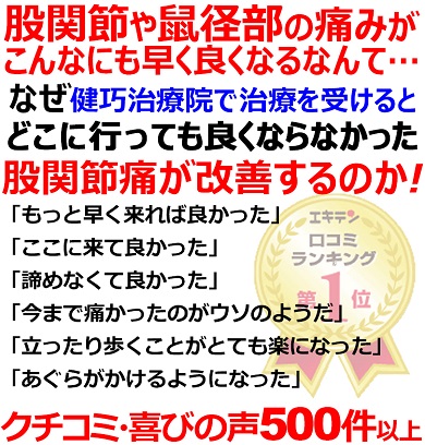 姫路市飾磨区で股関節痛改善率No,1の整体院です。