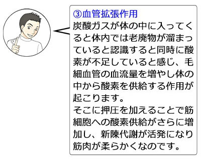 ③血管拡張作用：炭酸ガスが体の中に入ってくると体内では老廃物が溜まっていると認識すると同時に酸素が不足していると感じ、毛細血管の血流量を増やし体の中から酸素を供給する作用が起こります。そこに押圧を加えることで筋細胞への酸素供給がさらに増加し、新陳代謝が活発になり筋肉が柔らかくなのです。