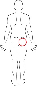 お尻全体 お尻全体