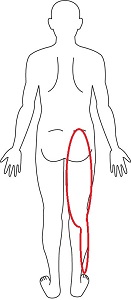 お尻から下肢 お尻から下肢