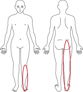 お尻から足全体 お尻から足全体