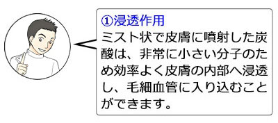 ①浸透作用：ミスト状で皮膚に噴射した炭酸は、非常に小さい分子のため効率よく皮膚の内部へ浸透し、毛細血管に入り込むことができます。